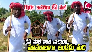 గొర్రెల కాపరిగా కేఏ పాల్..మామూలుగా ఉండదు మరి |KA Paul Variety Campaign In Munugode |circarnews