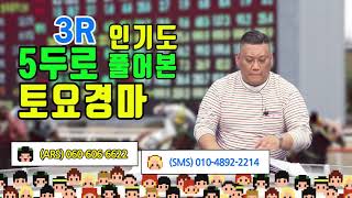 스티븐0208토