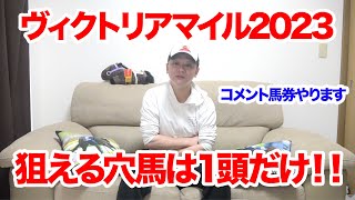 【ヴィクトリアマイル2023】今年も荒れる？！穴馬を狙うならこの馬！！ヴィクトリアマイル2023予想‼︎【競馬予想】