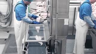 Fish Processing Flowline – Advanced Flowline Concept