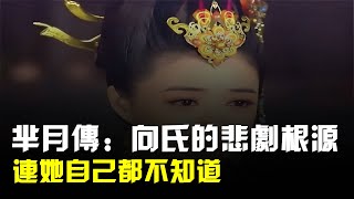 《羋月傳》向氏的悲劇根源,連她自己都不知道