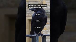 Cate răspunsuri ai avut?part.2#foryou #viral #like #subscribetomychannel #viwes #youtubeshorts #fy