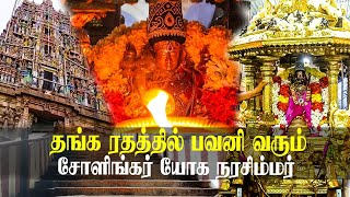 சோளிங்கர் நரசிம்மர்  தங்க ரதத்தில் பவனி வரும் கண்கொள்ளாக் காட்சி