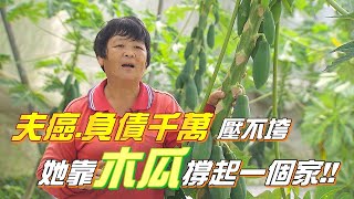 魄力媽媽木瓜還債 黃淑月【一步一腳印精選】