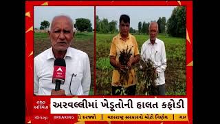 Aravalli News | અરવલ્લીમાં ખેડૂતોની હાલત કફોડી, ખેતરો ફેરવાયા તળાવમાં, સર્વે કરી સહાય ચૂકવવાની માગ