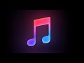 Make Your own Music Player in Python