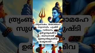 രോഗങ്ങൾ  മാറാനും ദീർഘായുസ്സിനും ധനസമൃദ്ധിക്കും പുത്രപൗത്രാദി സൗഖ്യത്തിനും  ബഹുവിശേഷമാണ് ഈ മന്ത്രജപം.