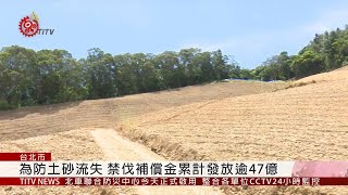 原保地禁伐補償條例修法草案 受償人數增 2019-10-17 IPCF-TITV 原文會 原視新聞