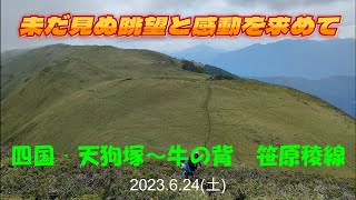 四国　天狗塚の笹原稜線美を楽しみに🎵