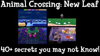 Animal Crossing: New Leaf - Secrets and Easter Eggs!