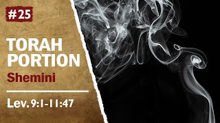 Torah Portion Shemini - The 8th Day, Power of Prayer, Nadab & Abihu's Strange Fire