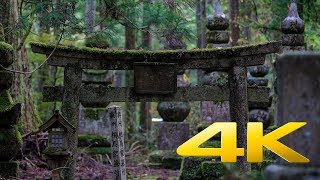 Okunoin Cemetery Part II - Wakayama - 奥の院 - 4K Ultra HD