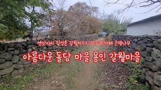 아름다운 돌담마을 용인 갈담리 갈월마을