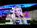 liz wilde show la reporter goes bonkers autotune.mp4