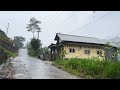 Rain in August in an Indonesian mountain village||very relaxing and refreshing