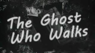 The Ghost Who Walks by Karen Elson music video