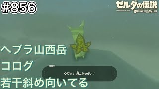 【#856】ヘブラ山西岳山頂を探索！コログあり！[ゼルダの伝説 ブレスオブザワイルド]