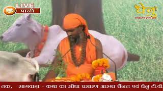 पाली (राजस्थान)-4th Day श्री गौ कृपा कथा-परम तपस्वी गौभक्त संत के श्री मुख से