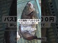 【冬バス釣り】600円買取あり那珂川ワーム攻略と地元情報 釣り fishing バス釣り初心者 バス釣り 🎣詳しくは概要欄見てね↓