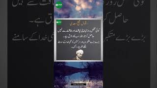 Hikayat E saadi | moral stories | #hikayaturdu #shortvideo #viralvideo #vtuber #fyp #top #quotes