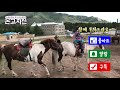 몽골 전통민속축제 나담축제 현장 방문기 │ ​​​흥수저tv 역사탐방기 온고지신1 제23화