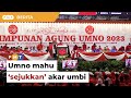 Umno tak jemput DAP, pemimpin parti kerajaan untuk ‘sejukkan’ akar umbi, kata penganalisis