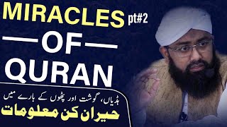 Miracles of Quran part 2 by Soban Attari