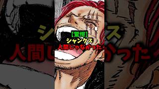 【驚愕】シャンクス人間じゃなかった#ワンピース #ワンピース最新話 #onepiece