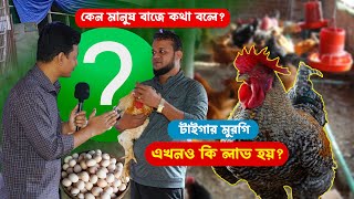 কেমন আছে টাইগার মুরগি খামারি আল-আমিন ভাই ? মুরগিতে কি লাভ হয় || কৃষি ঘর