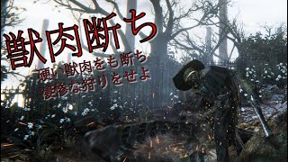 【Bloodborne】全てを断ち切り穿つ「獣肉断ち」で全ボス撃破！