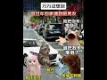 万万没想到，当过年回家遇到前男友！ 猫meme