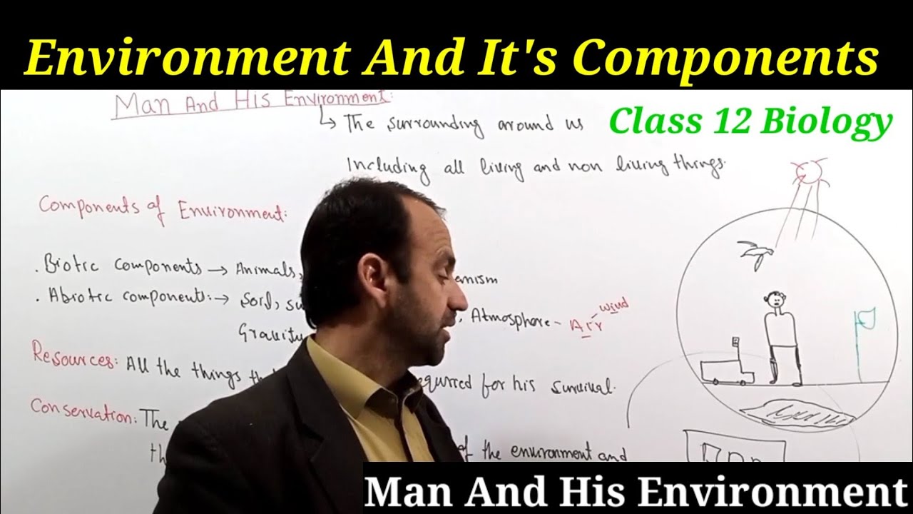 Environment Class 12 | Components Of Environment | Abiotic And Biotic ...