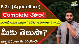 Courses After B.Sc Agriculture | Jobs After B.Sc Agriculture in Telugu |Agriculture Careers in India