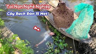 Bắt 3 Tổ Vò Vẽ Điệp SÉM CH.ẾT Tai Nạn Nghề Nghiệp. Catch 3 Wasp Nests That Almost Died That Fell