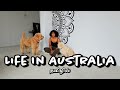 Life In Australia | தமிழில் | Story Time 6: DIML, Cooking, Diwali Online Shopping & Preparation