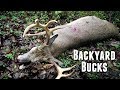 Backyard Bucks in early October!!!