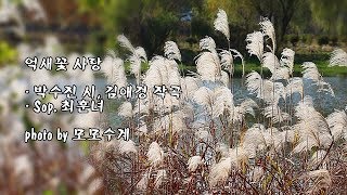 억새꽃 사랑/박수진 시, 김애경 작곡/Sop.  최훈녀 \u0026 photo by 모모수계