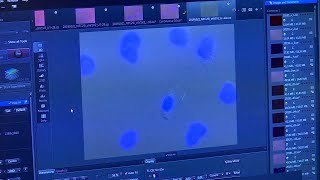 UVA researchers’ discovery