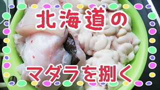 #246【ばあちゃんの料理】マダラを捌く