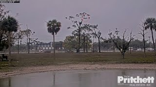 SWFL. It's raining. F23? sat in the nest tree for 3 hours / 14:16 - 17:16 / 2025-02-24