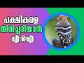 AI-Powered Bird Identification: Meet Merlin Photo ID!  Malayalam Latest News!