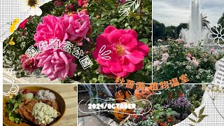 【4K撮影】須磨離宮公園【秋の薔薇】