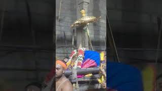 Ranganachiyar Thiruvaimozhi Thirunal Day1 #vaikundaekadesi #srirangam #namperumal #festival #lakshmi