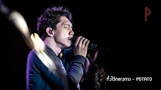 ทิ้งไว้กลางทาง - POTATO @ The Seed Session [SEED 97.5 FM]