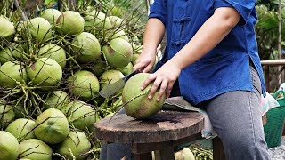 Coconut harvesting process in coconut farm!!!Coconut, coconut processing, Somtam, fried rice!!!