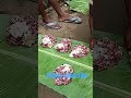 nuakhai basi video paschim odisha tihar parba