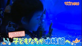 【はじめてばこ】海の生き物に夢中！子供たちを水族館に招待！（2024年12月10日放送）