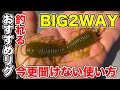 【バス釣り】BIG2WAY(レイドジャパン）の使い方!!フリーリグやジグヘッドワッキーなどおすすめリグについて徹底解説!!【RAIDJAPAN】