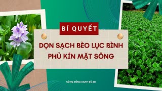 Cùng sống xanh số 38: Biến lục bình phủ kín sông Giá thành sản phẩm có ích