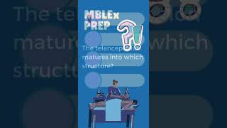 MBLEX Prep Question 260 #exampreparation #massage